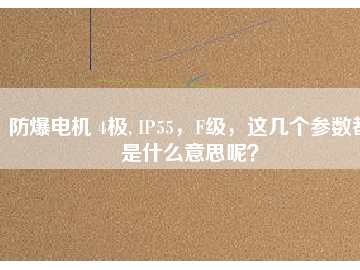 防爆電機(jī) 4極, IP55，F(xiàn)級，這幾個(gè)參數(shù)都是什么意思呢？