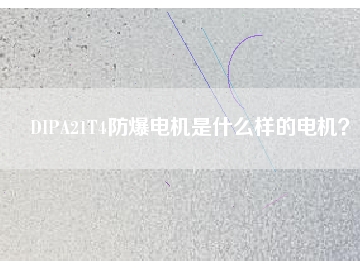 DIPA21T4防爆電機是什么樣的電機？