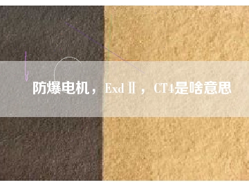 防爆電機(jī)，ExdⅡ，CT4是啥意思