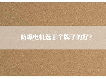 防爆電機(jī)選哪個(gè)牌子的好？