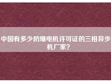 中國(guó)有多少防爆電機(jī)許可證的三相異步電機(jī)廠家？