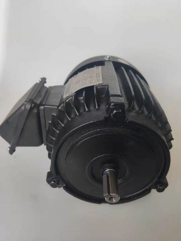 永磁電機 DVEX  75KW  3000RPM  F#200L IE4效率電機
