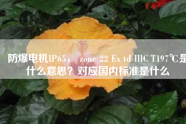 防爆電機IP65， zone 22 Ex td IIIC T197℃是什么意思？對應國內(nèi)標準是什么