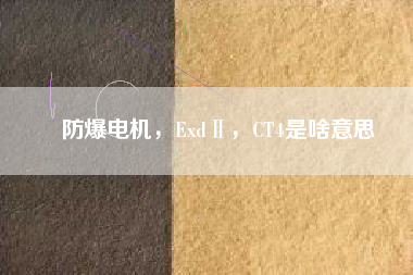 防爆電機(jī)，ExdⅡ，CT4是啥意思