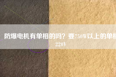 防爆電機(jī)有單相的嗎？要750W以上的單相220V