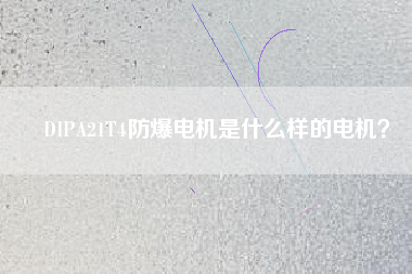 DIPA21T4防爆電機是什么樣的電機？